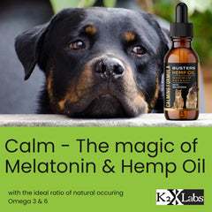 K2xLabs Busters hemp oil omega balance highlight for healthy coat.