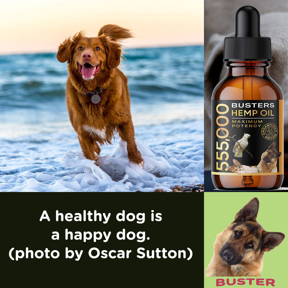 K2xLabs Buster's lab-tested safety and purity for peace of mind pet owners
