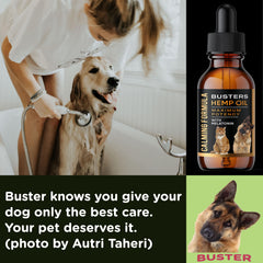 K2xLabs Busters melatonin sleep support for dogs illustration.