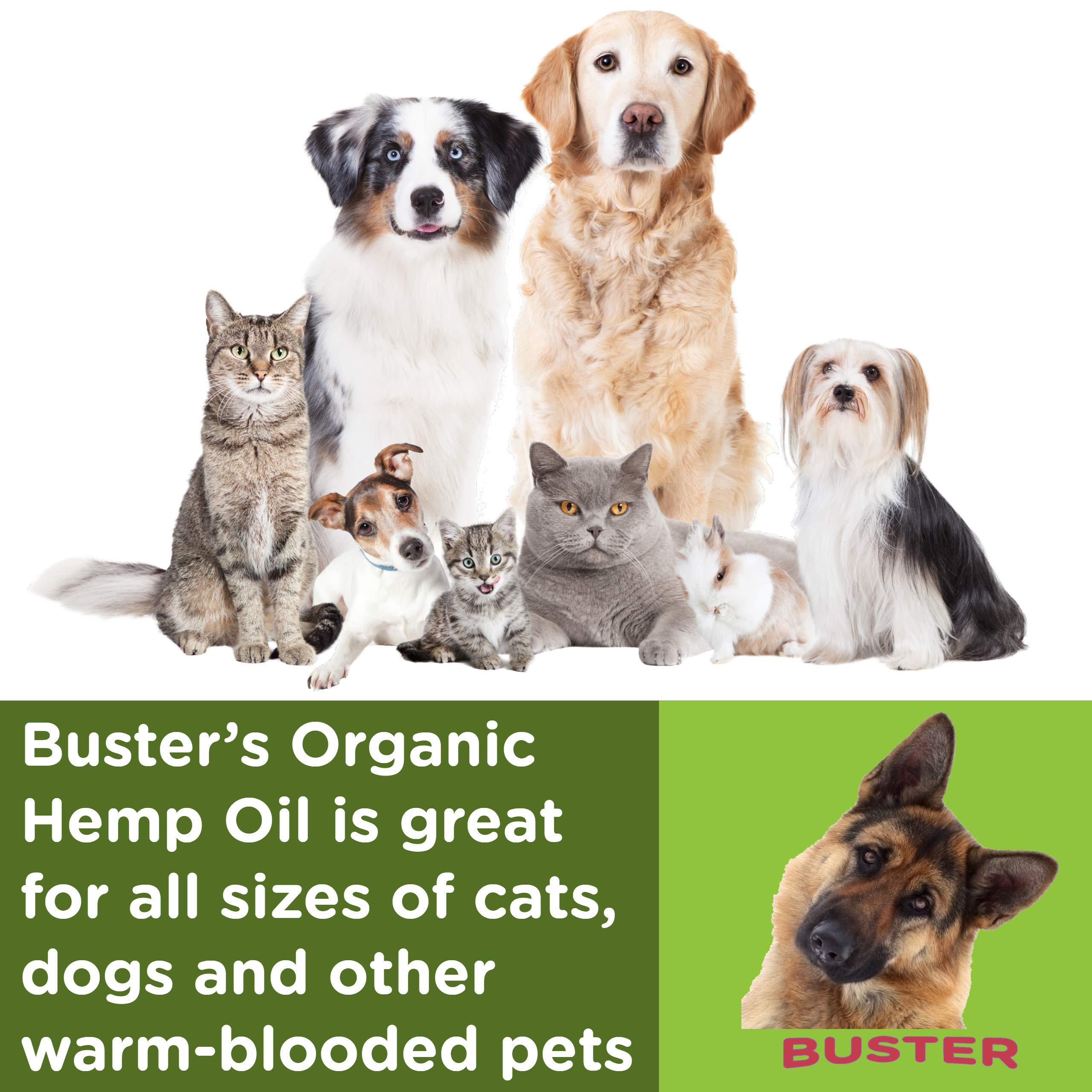 K2xLabs Organic hemp oil for pets highlighting calm and mobility benefits.