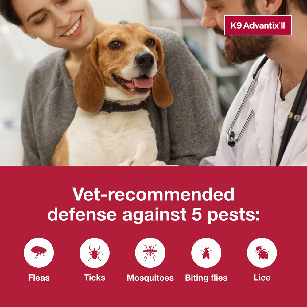 Easy-to-use topical treatment shown for quick monthly dosing on a dog.