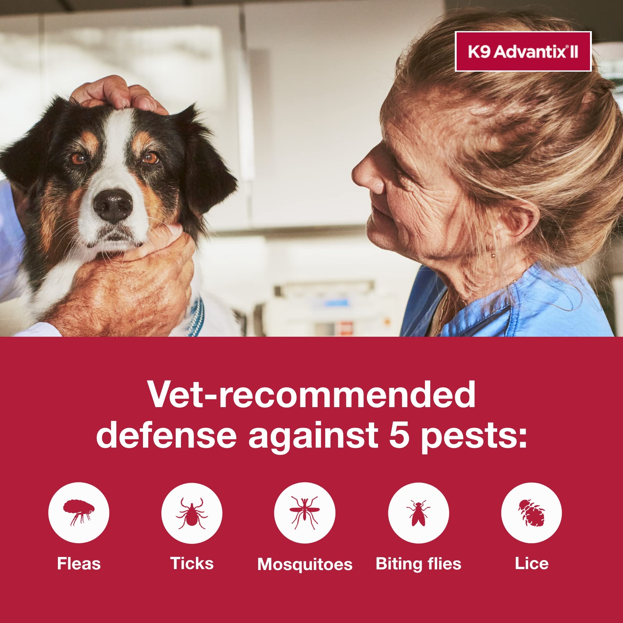 K9 Advantix II large dog ready-to-use topical application for pests