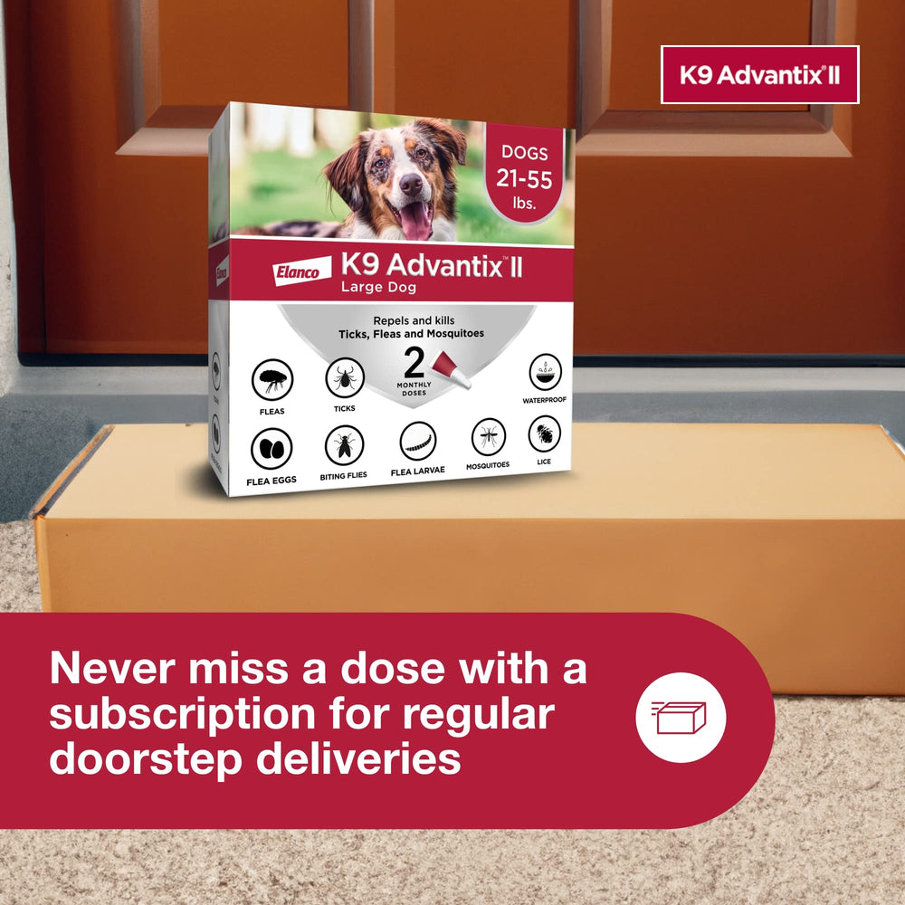 K9 Advantix II for outdoor and indoor dogs during park play