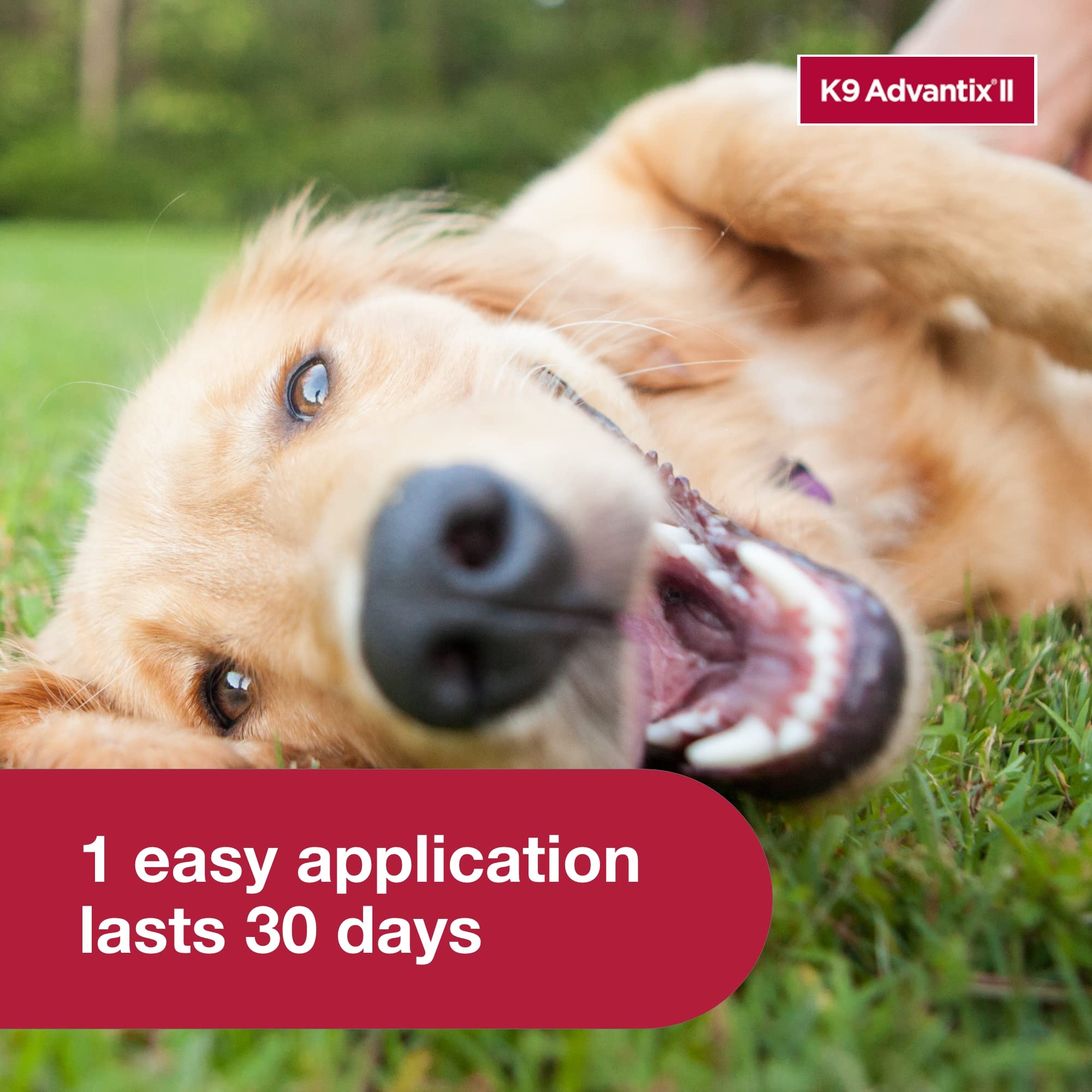 K9 Advantix II pest protection covers five pests for dogs
