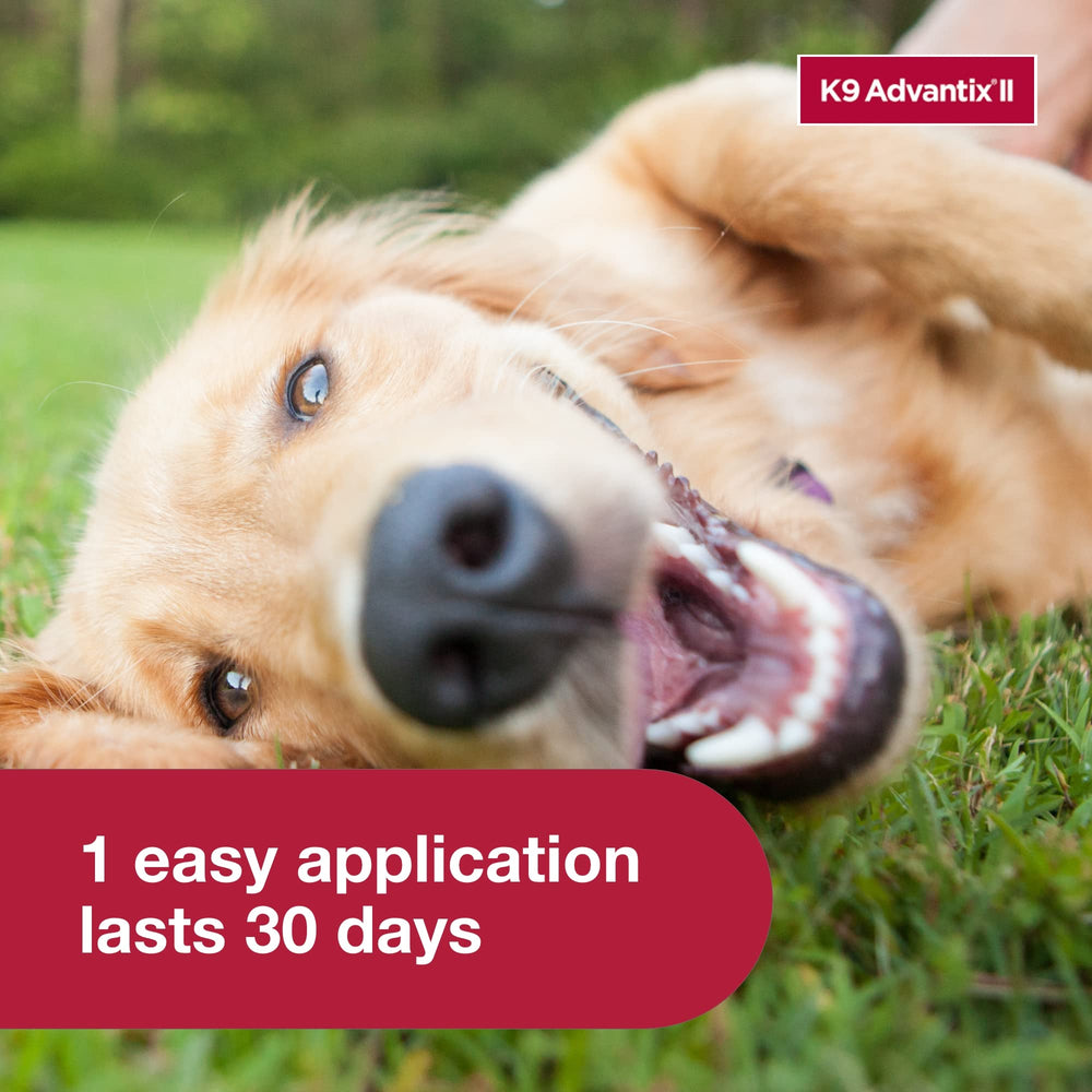 K9 Advantix II pest protection covers five pests for dogs