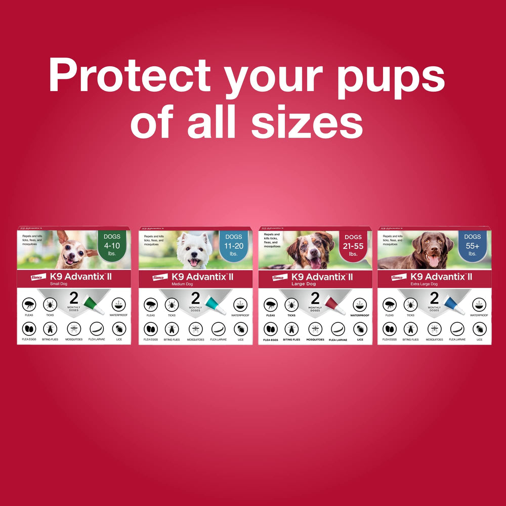 Label close-up showing 11-20 lb weight range for medium dogs.