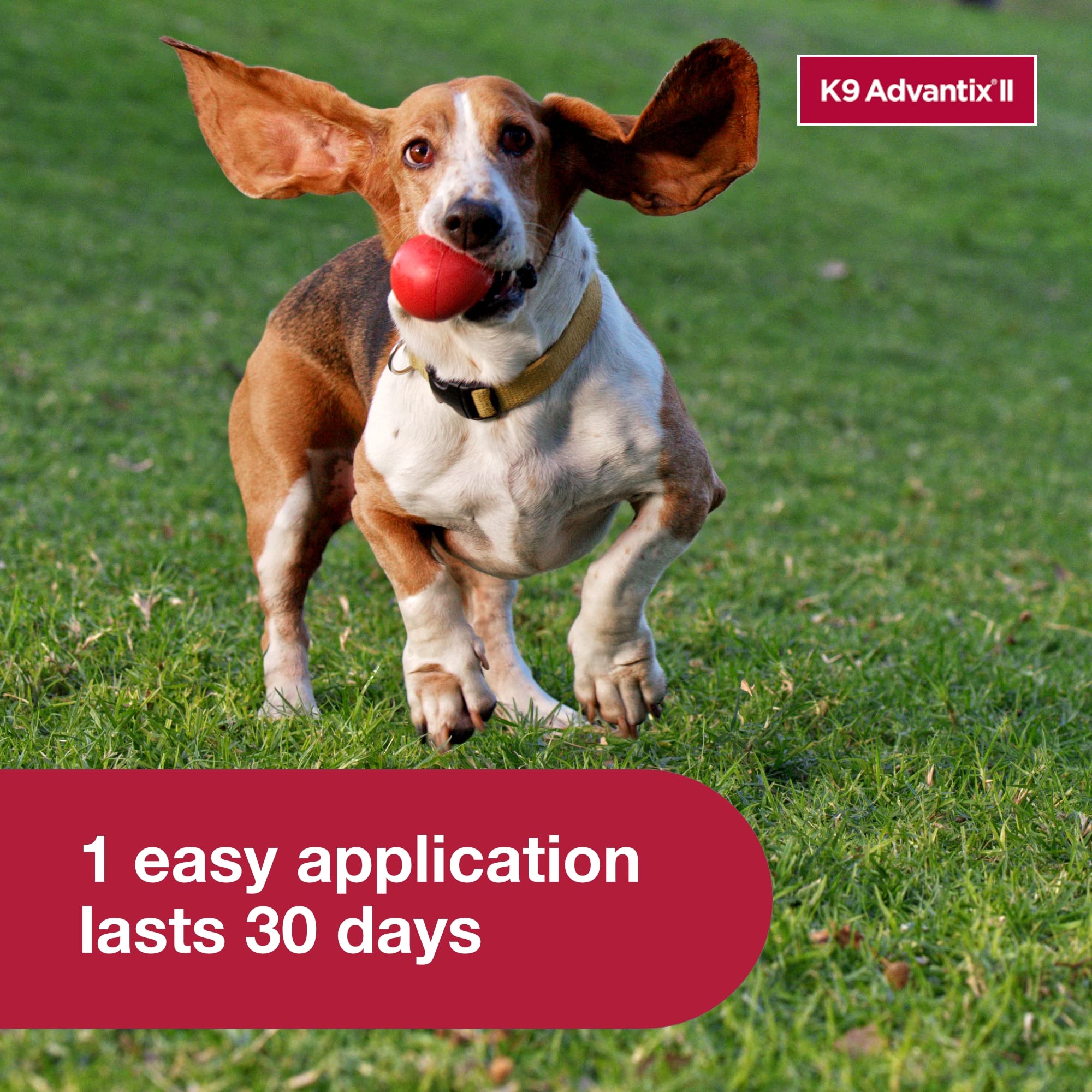 Vet-recommended K9 Advantix II application suited for indoor and outdoor dogs.