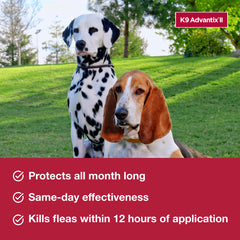 K9 Advantix II waterproof after 24 hours keeps your dog protected while outdoors