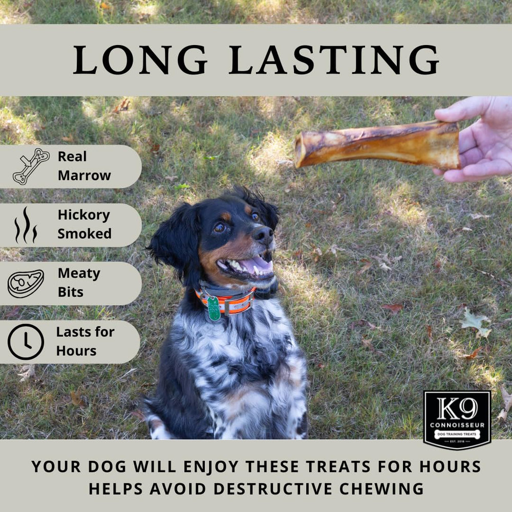 K9 Connoisseur durable bone designed for aggressive chewers in action