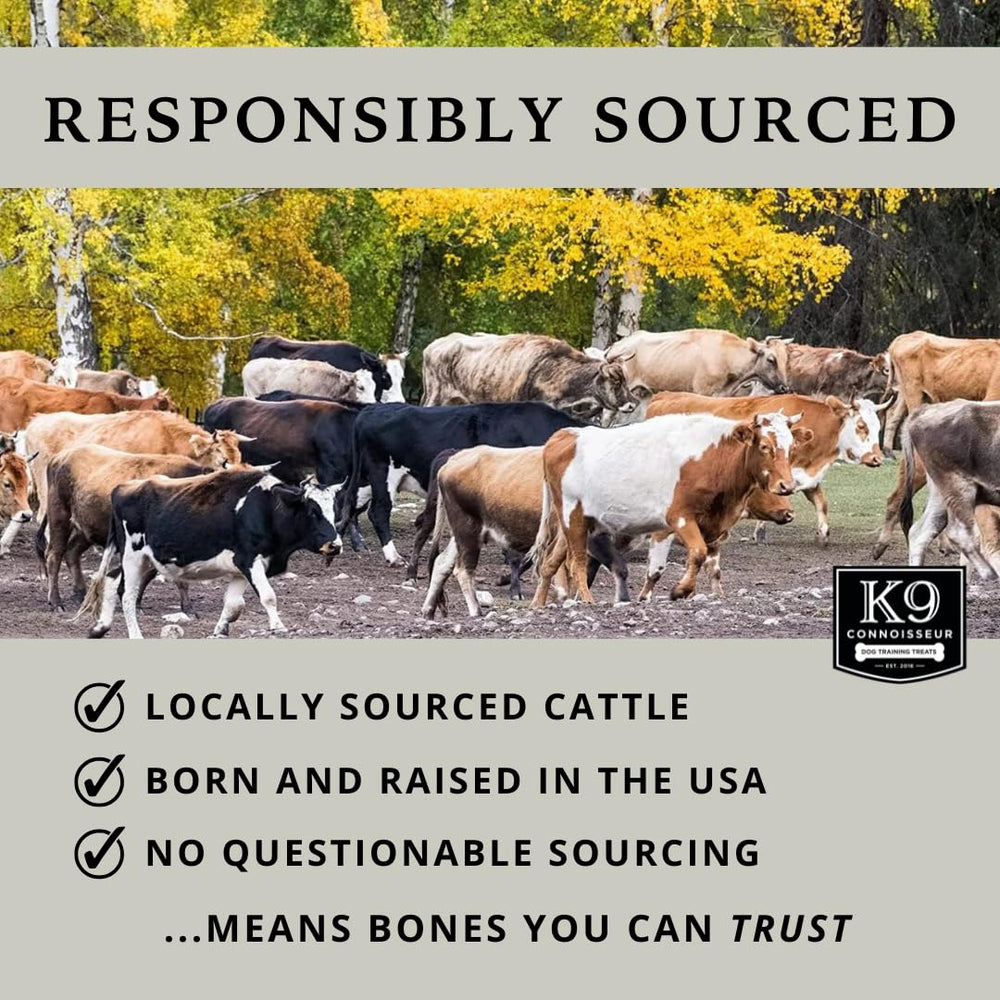 K9 Connoisseur natural single-ingredient bone showcased for healthy dog chew