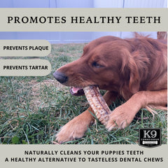 K9 Connoisseur beef-trachea ingredients image underscores a simple, clean chew option.