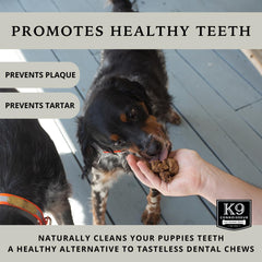 K9 Connoisseur tratamiento de pulmón para perros de todas las razas.
