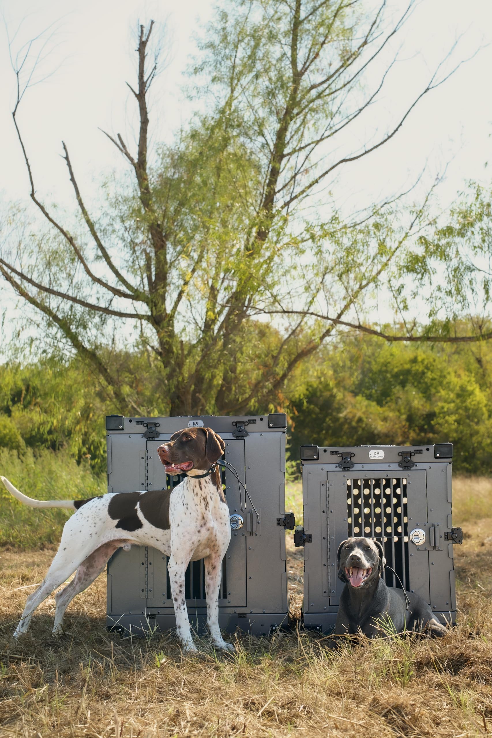 K9 Kennel Boss 16 knurled bolts emphasize quick, reinforced rigidity.