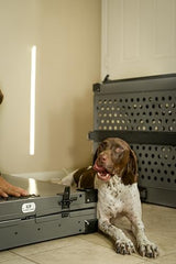 K9 Kennel Boss knurled-bolts-assembly emphasizes reinforced rigidity for secure confinement