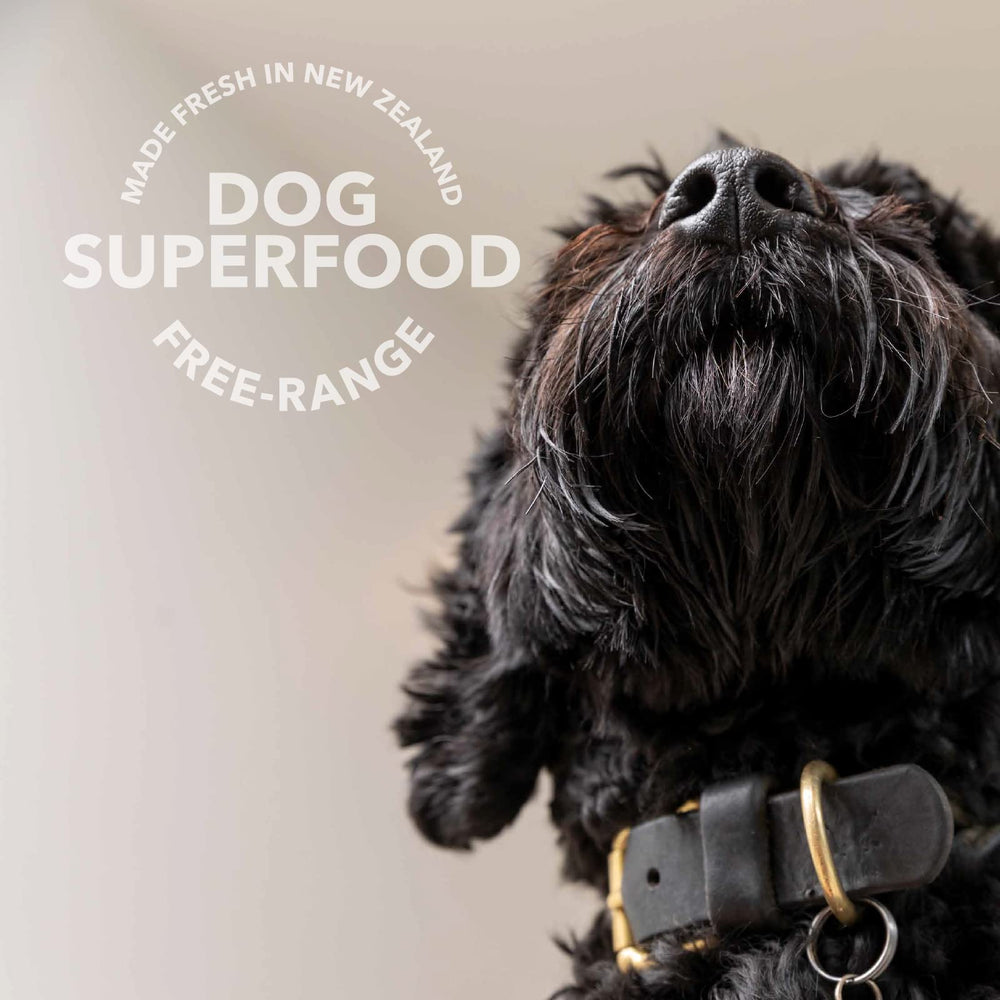 K9 Natural freeze-drying preserves nutrients and flavor, keeping top-quality taste.