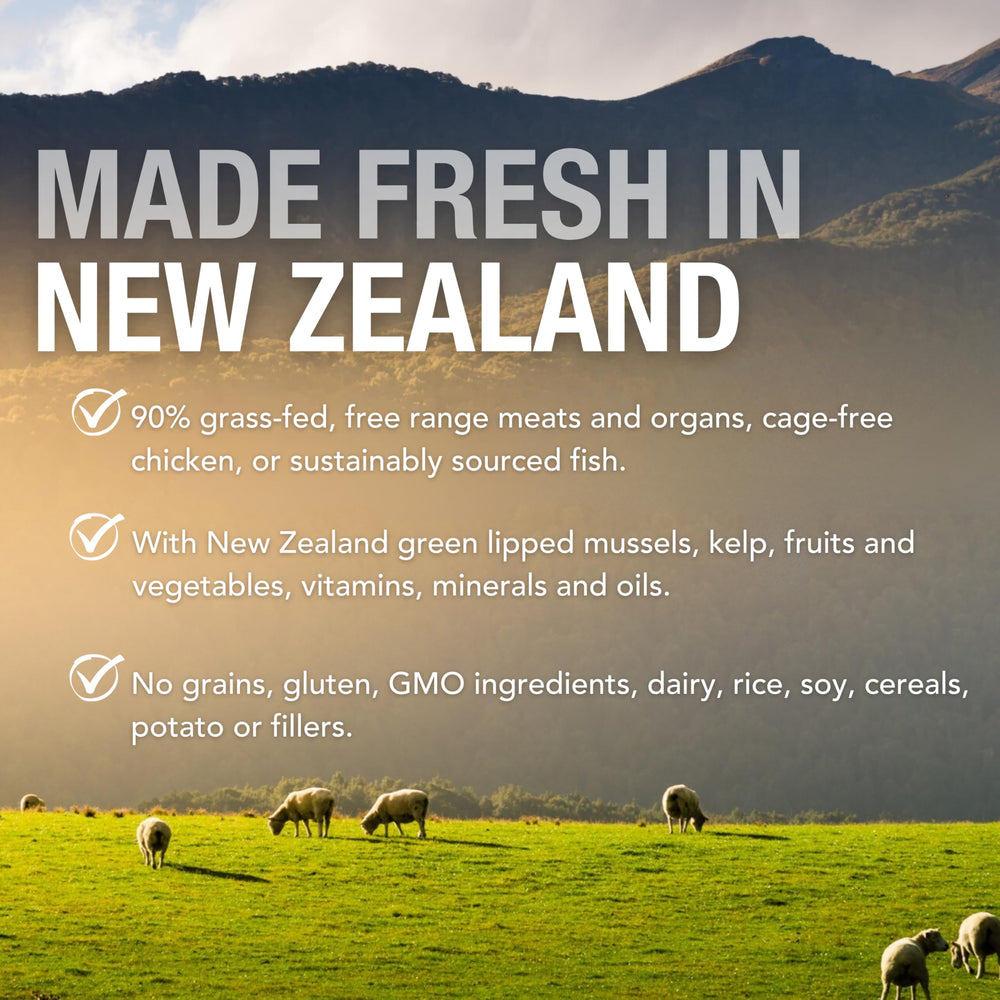 K9 Natural Lamb Feast aroma and texture ready to please dogs.