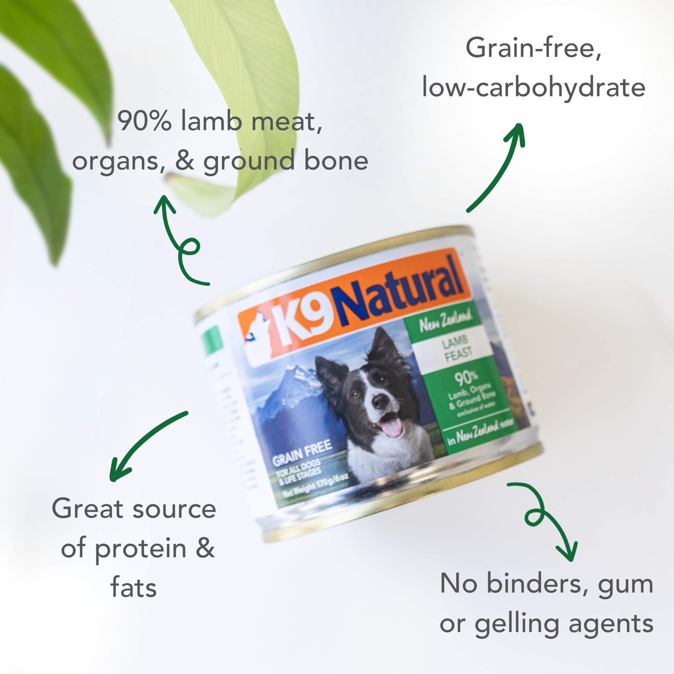 K9 Natural Lamb Feast pate texture close-up for palatability.
