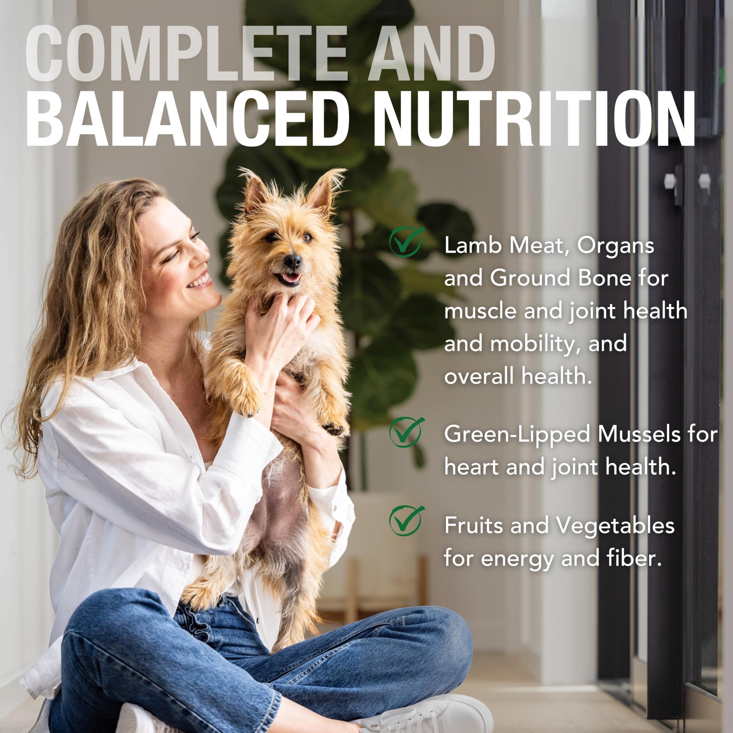 K9 Natural New Zealand grass-fed lamb source image highlights quality protein.