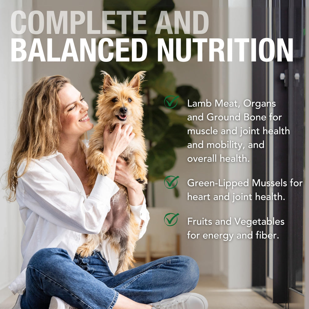K9 Natural New Zealand grass-fed lamb source image highlights quality protein.