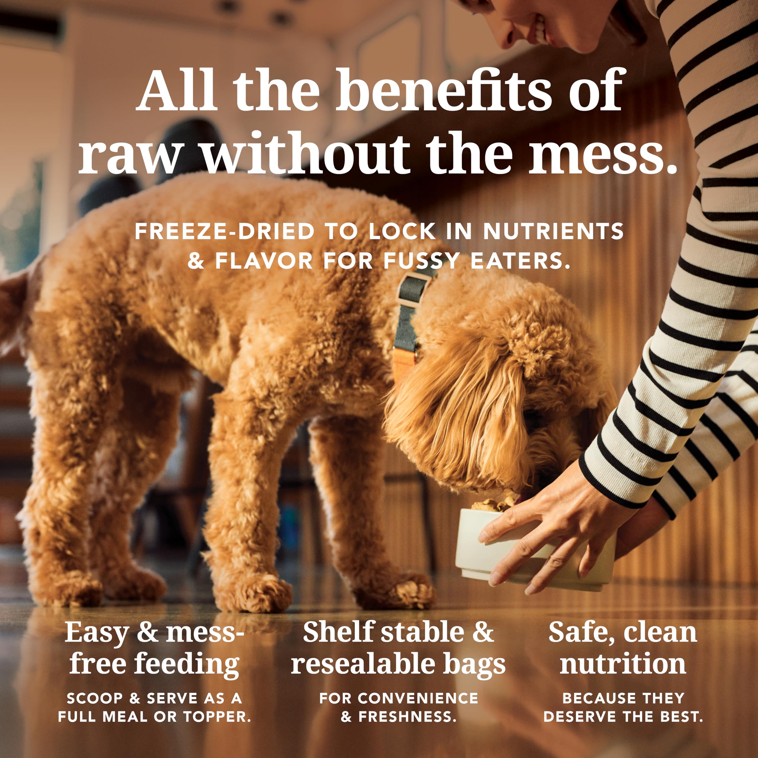 K9 Natural palatability guarantee supports picky eaters with natural beef taste