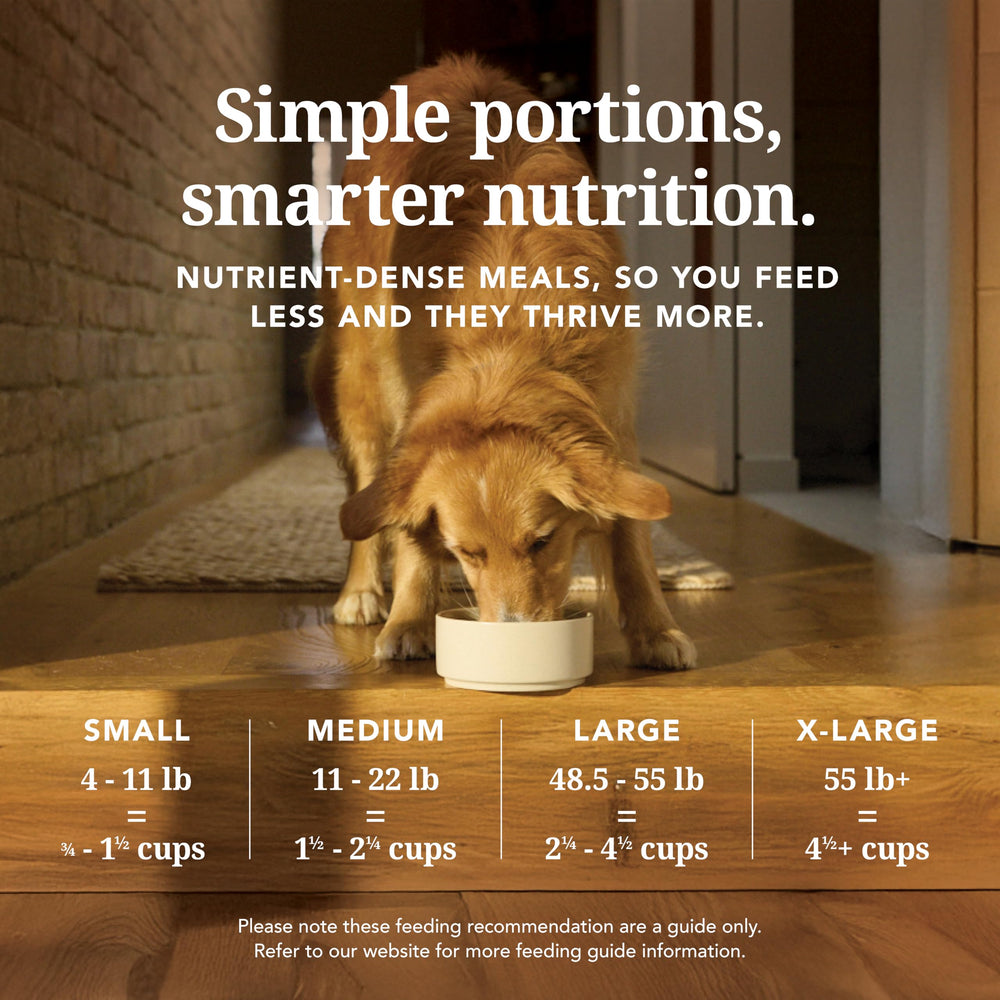 K9 Natural pantry storage pack keeps the 4lb beef freeze-dried bag fresh