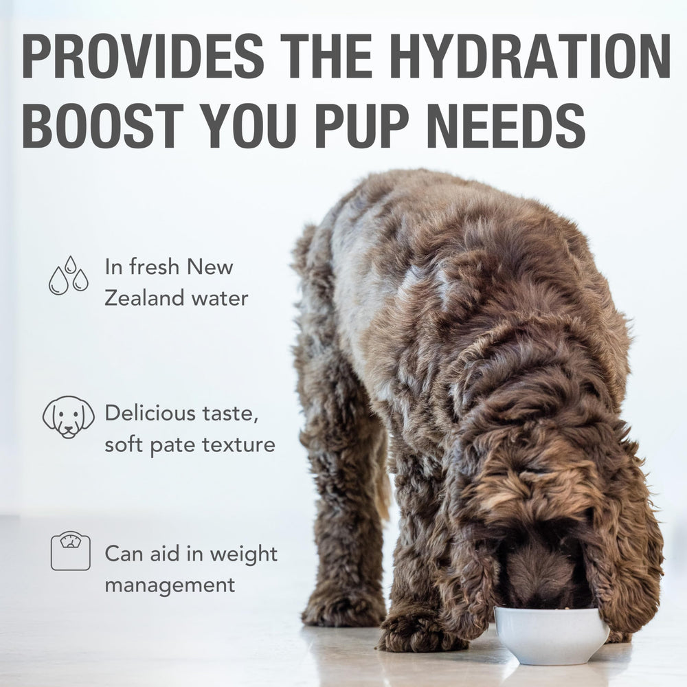 K9 Natural single-source meat lamb feast ingredients showcased for protein.