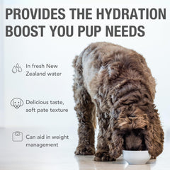 K9 Natural single-source meat lamb feast ingredients showcased for protein.