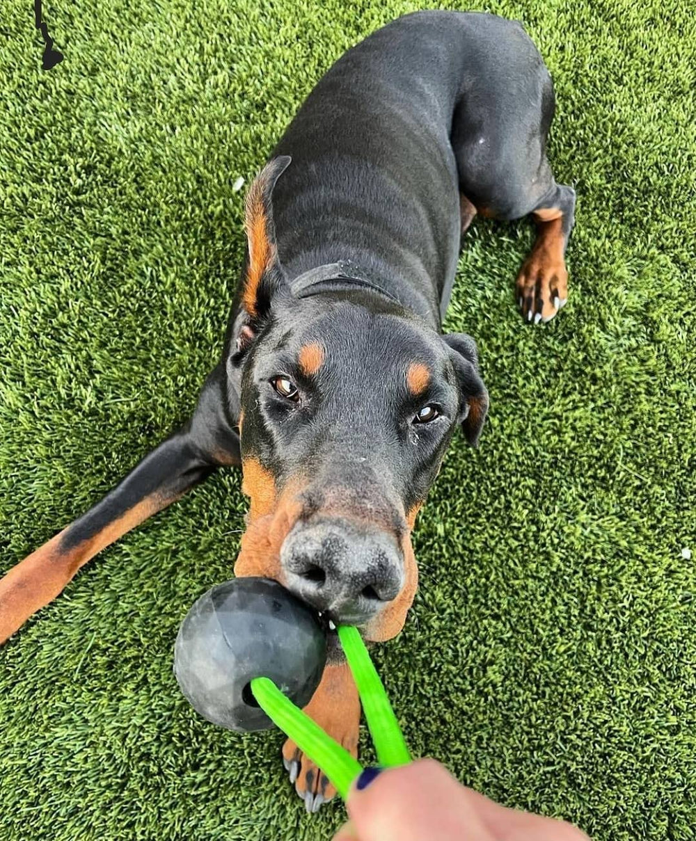 K9 Ops Moki hex ball grip design enhances throwing accuracy