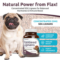 K9 Select 20mg lignan dog supplement bottle, compact chewables delivering concentrated flaxseed lignans.