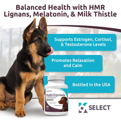 K9 Select beef flavored chew close up highlighting tasty daily supplement for large breeds