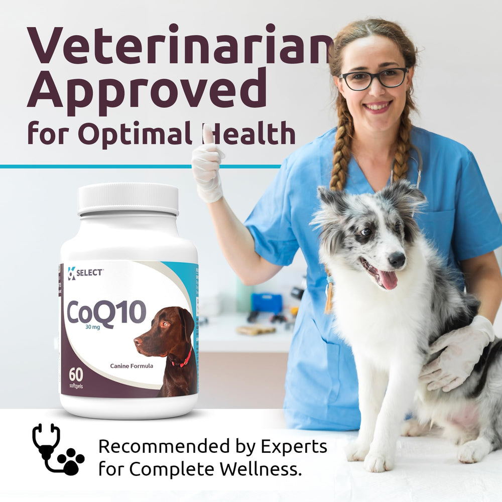 K9 Select CoQ10 packaging inside shot showcases reliable supply for months