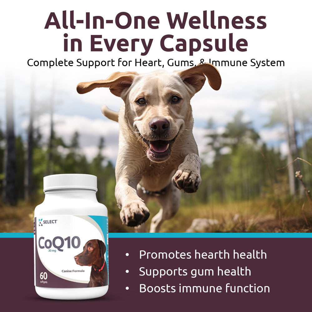 K9 Select CoQ10 softgels closeup emphasizes easy-to-swallow daily canine nutrition
