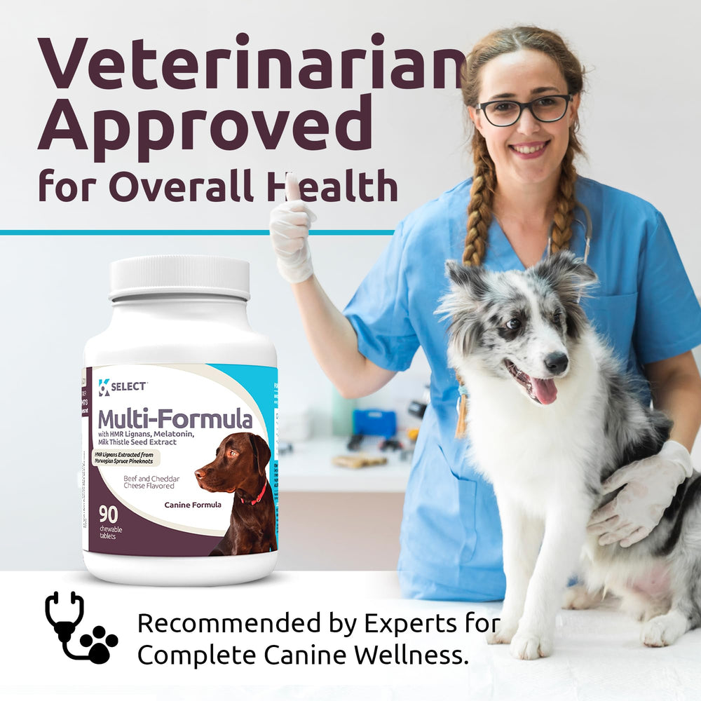 K9 Select digestive-support chew aids easy daily intake