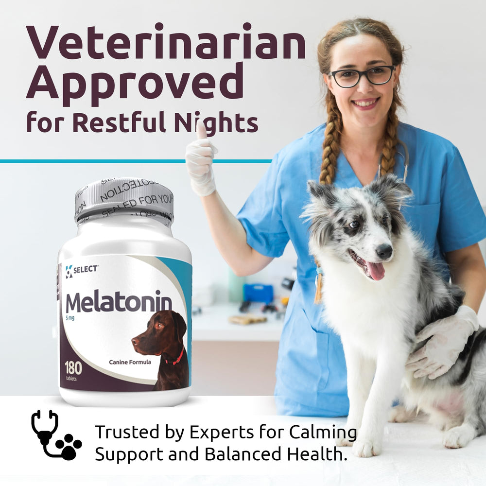 K9 Select dog health routine promoting sleep-friendly patterns and coat vitality