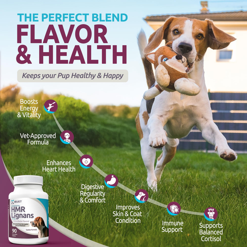 K9 Select HMR Lignans in hands with a dog for holistic wellness support.