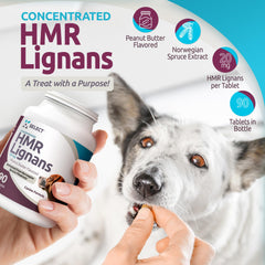 K9 Select HMR Lignans tablets close-up showing precise 20 mg dosing for medium dogs.