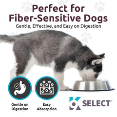 K9 Select HMR Lignans Norwegian Spruce extract bottle suggests premium vitality support.