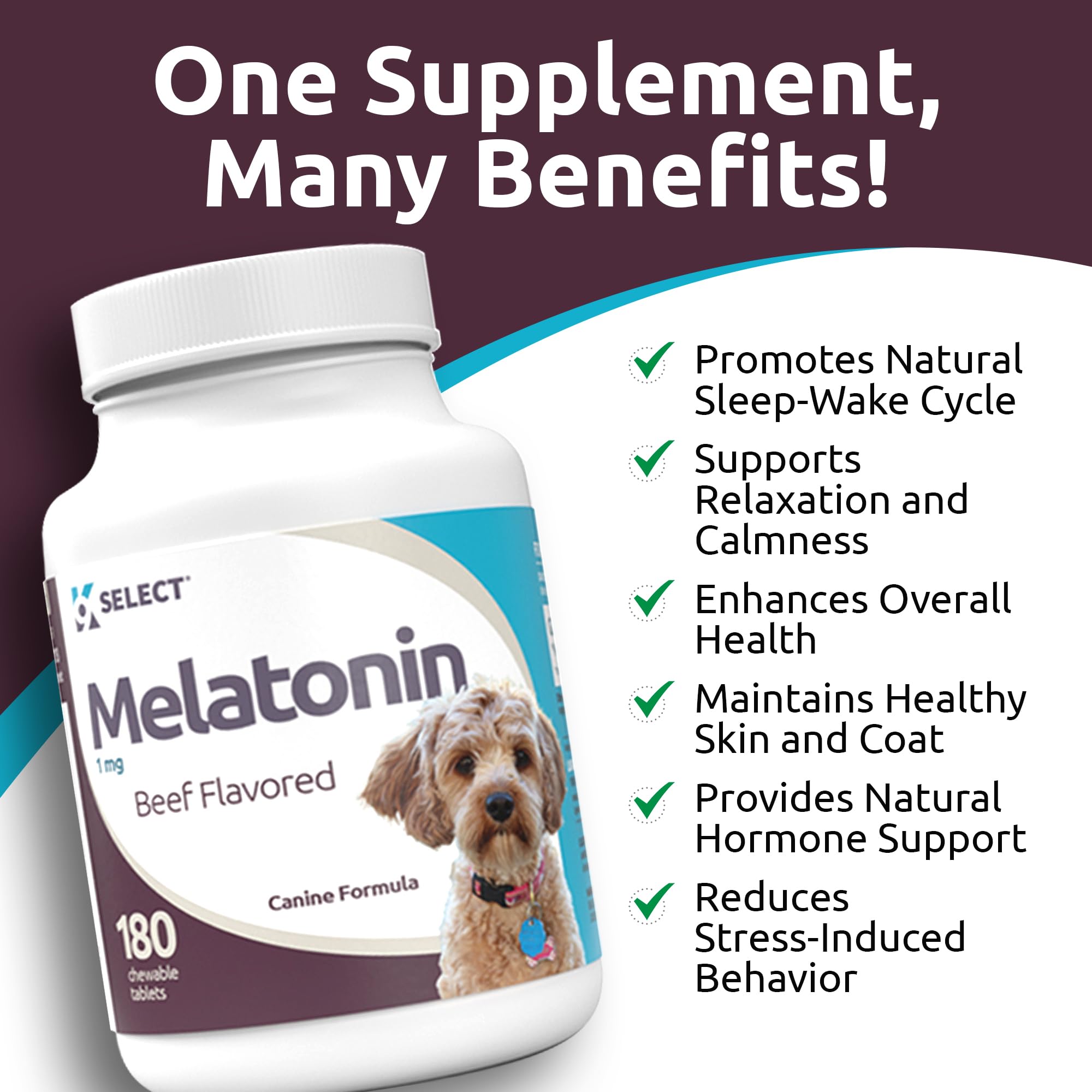 K9 Select Melatonin close-up 1mg tablet for small dogs