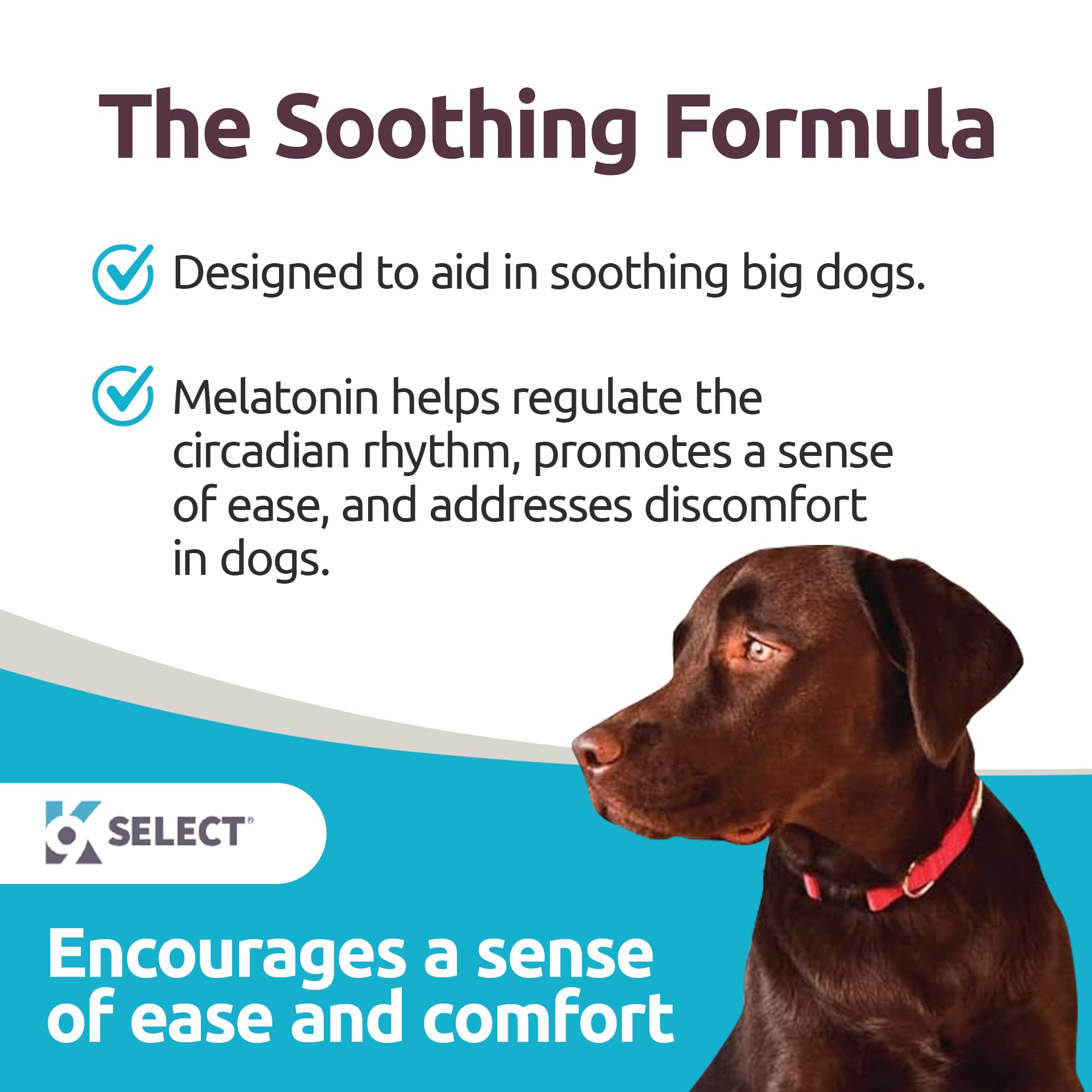 K9 Select melatonin calming-dogs-scene shows a relaxed dog during a storm for potential stress relief.