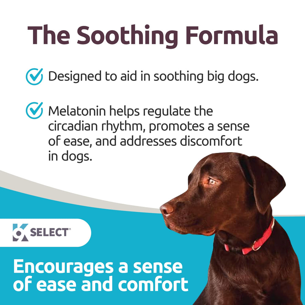 K9 Select melatonin calming-dogs-scene shows a relaxed dog during a storm for potential stress relief.
