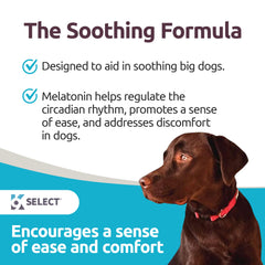 K9 Select melatonin calming-dogs-scene shows a relaxed dog during a storm for potential stress relief.