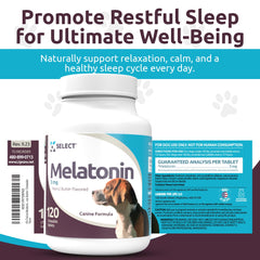 K9 Select melatonin dog sleep scene illustrating relaxed post-rest