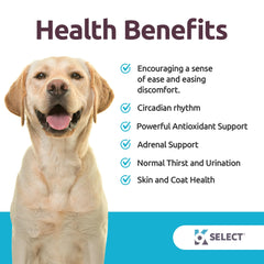 K9 Select melatonin-dosage-6mg-large-dogs depicts a 6 mg per-dose option for larger dogs.