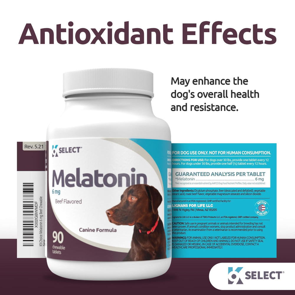 K9 Select melatonin large-dogs-sleepcycle illustrates a rested dog aligning with sleep-wake support.