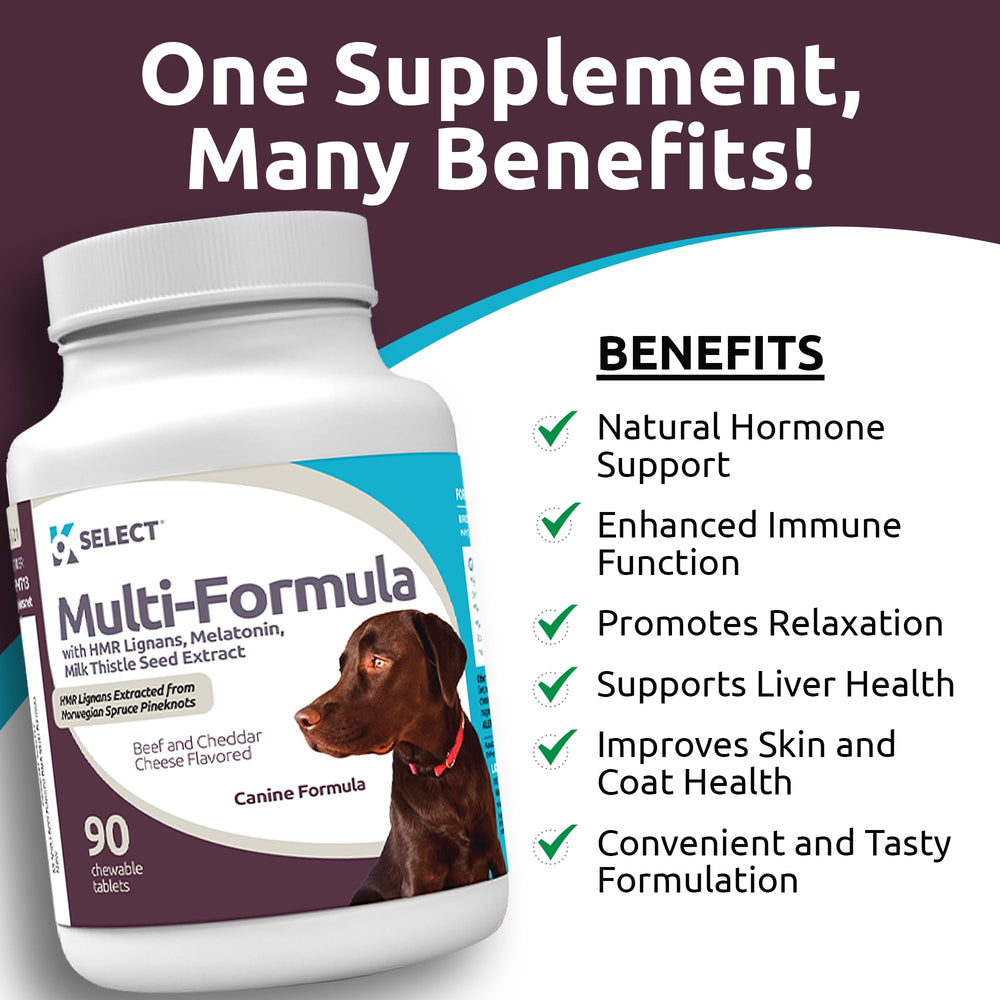 K9 Select milk thistle dog supplement supports liver function and digestive comfort