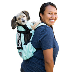 K9 Sport Sack Air 2 small Summer Mint back view highlights breathable mesh for cooler walks.