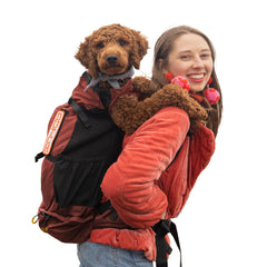 K9 Sport Sack Knavigate X-Large with back plate frame for sturdy support on hikes.