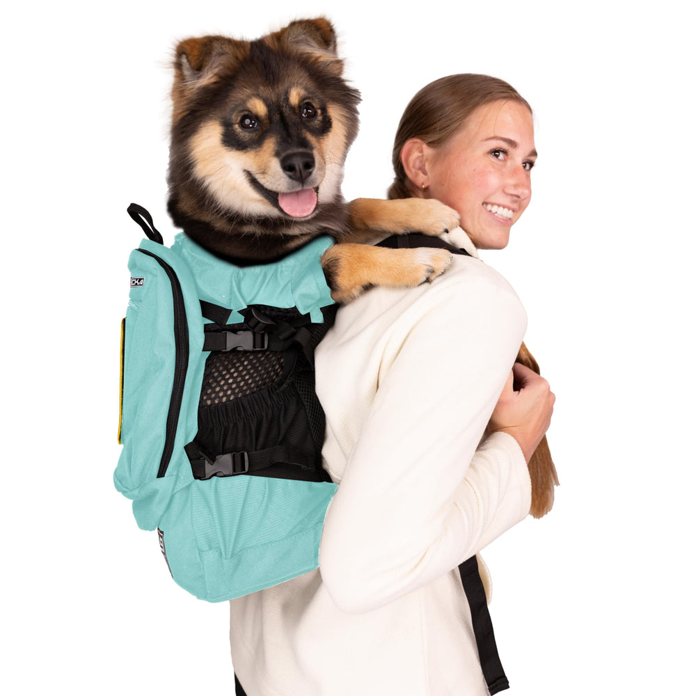 K9 Sport Sack Plus 2 large Summer Mint front view shows comfortable carrier for long walks.