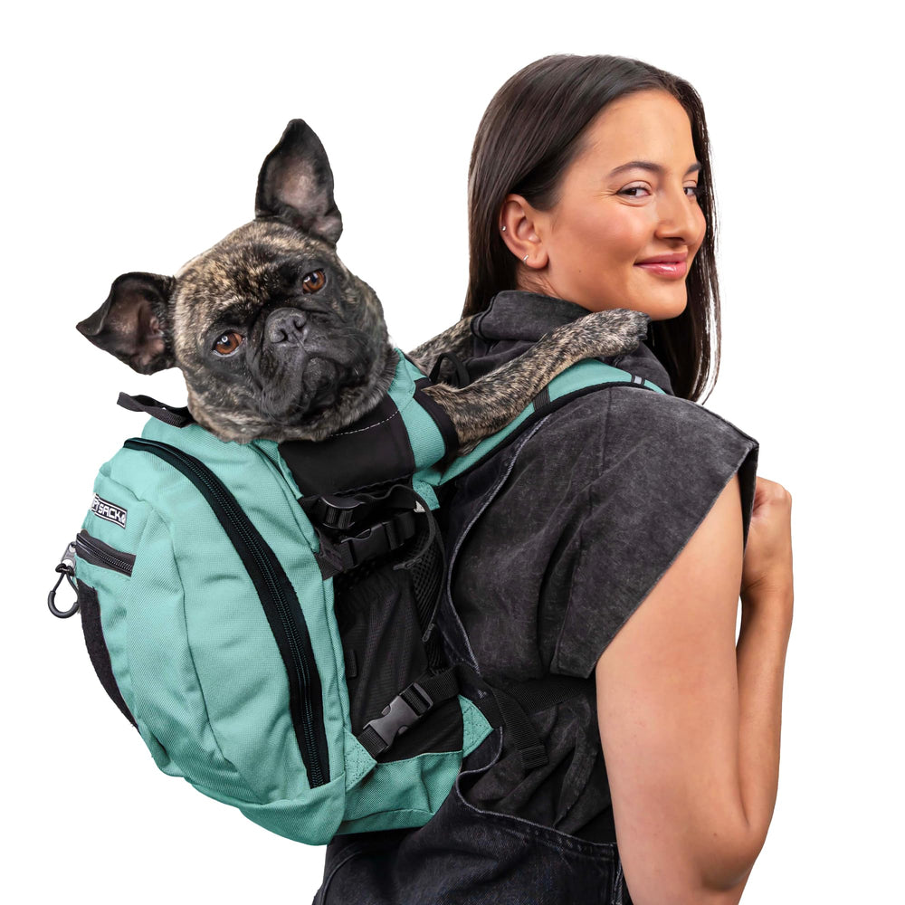 K9 Sport Sack Plus 2 small mint backpack carrier suitable for hiking comfort