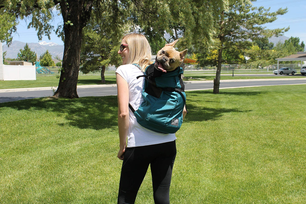 K9 Sport Sack Trainer Medium Iron Gate size guide reference supports choosing the right fit for Beagle-type dogs
